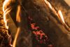 Symbio Log burner